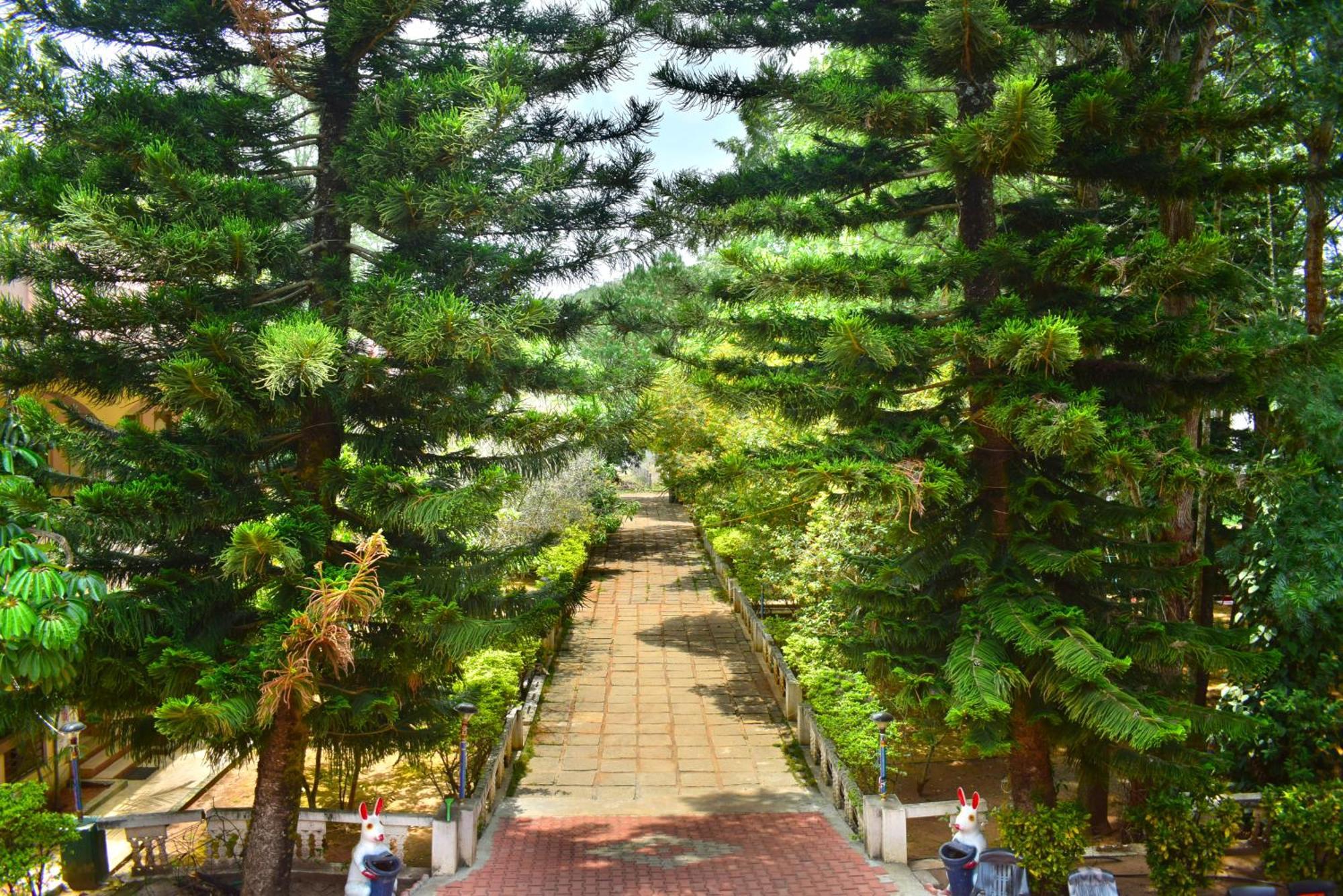 Jains Royal Palace Resorts Yelagiri Luaran gambar